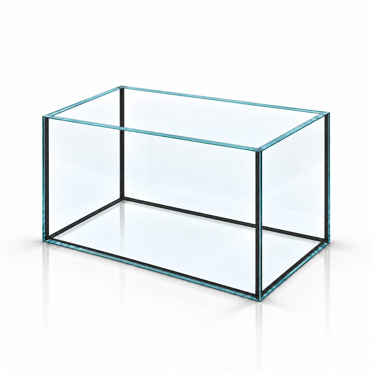 Terra-Natur Aquarium 30x20x20 cm, 12 Liter, schwarzes Silikon – auf weißem Hintergrund