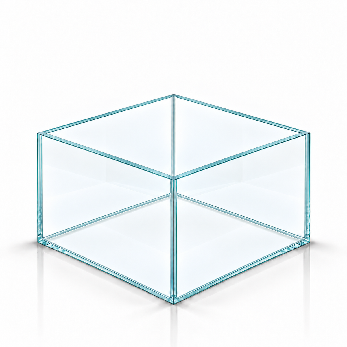 Terra-Natur Aquarium 30x30x20 cm, 18 Liter, transparentes Silikon – auf weißem Hintergrund
