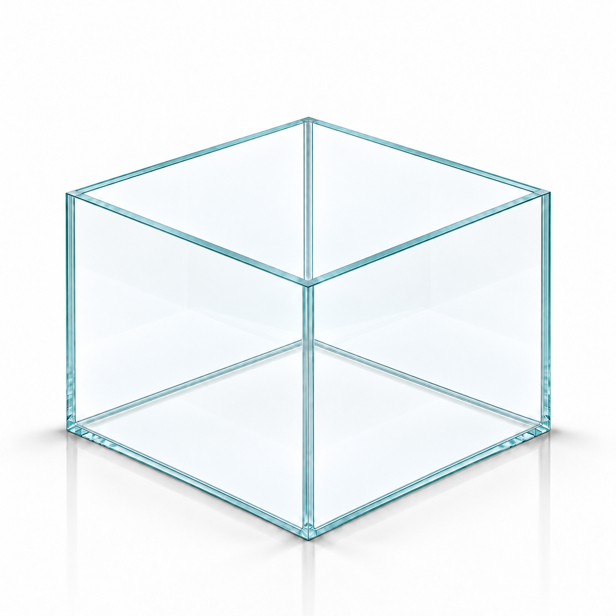 Terra-Natur Aquarium 30x30x25 cm, 22,5 Liter, transparentes Silikon – auf weißem Hintergrund