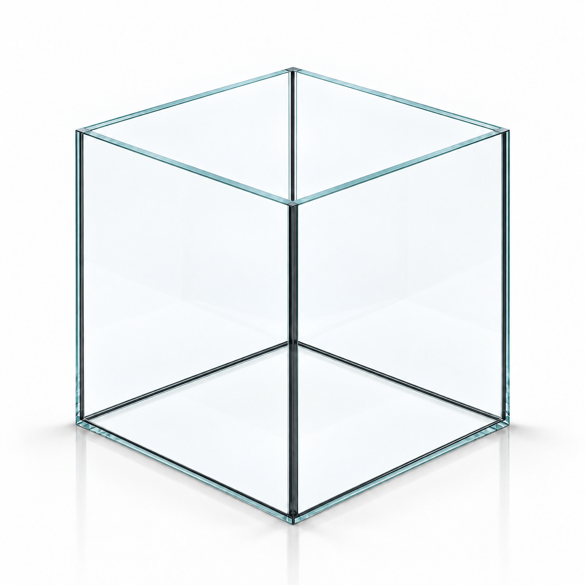 Terra-Natur Aquarium Cube 35x35x35 cm, schwarzes Silikon – auf weißem Hintergrund