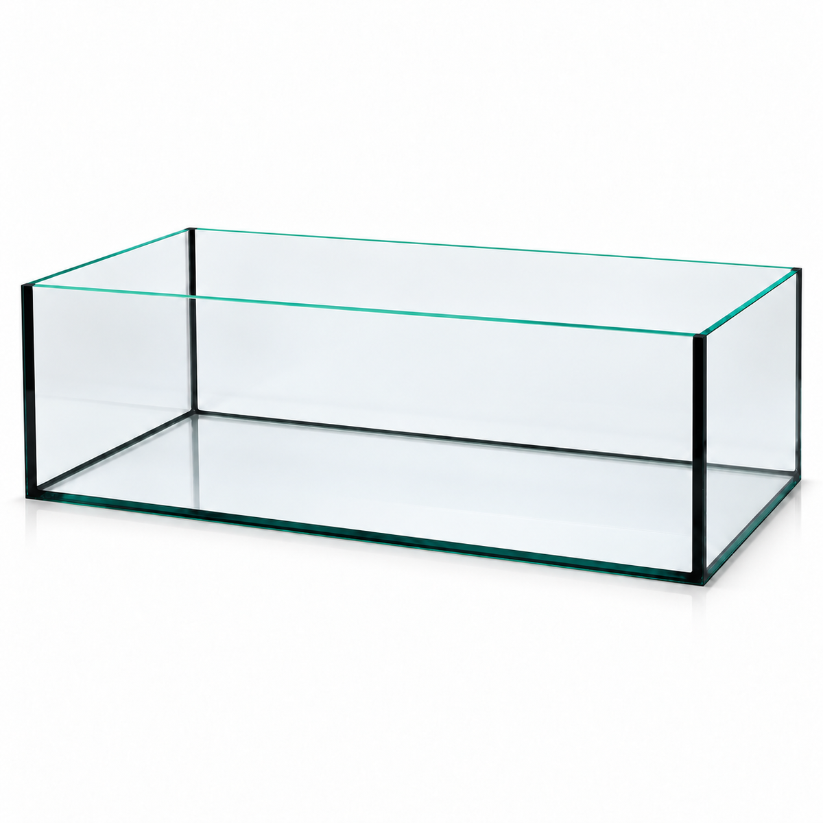 Terra-Natur Aquarium 68 × 38 × 22 cm mit schwarzer Silikonverklebung auf weißem Hintergrund