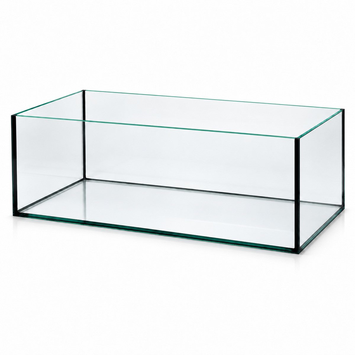 Terra-Natur Aquarium 68 × 38 × 25 cm mit schwarzer Silikonverklebung auf weißem Hintergrund