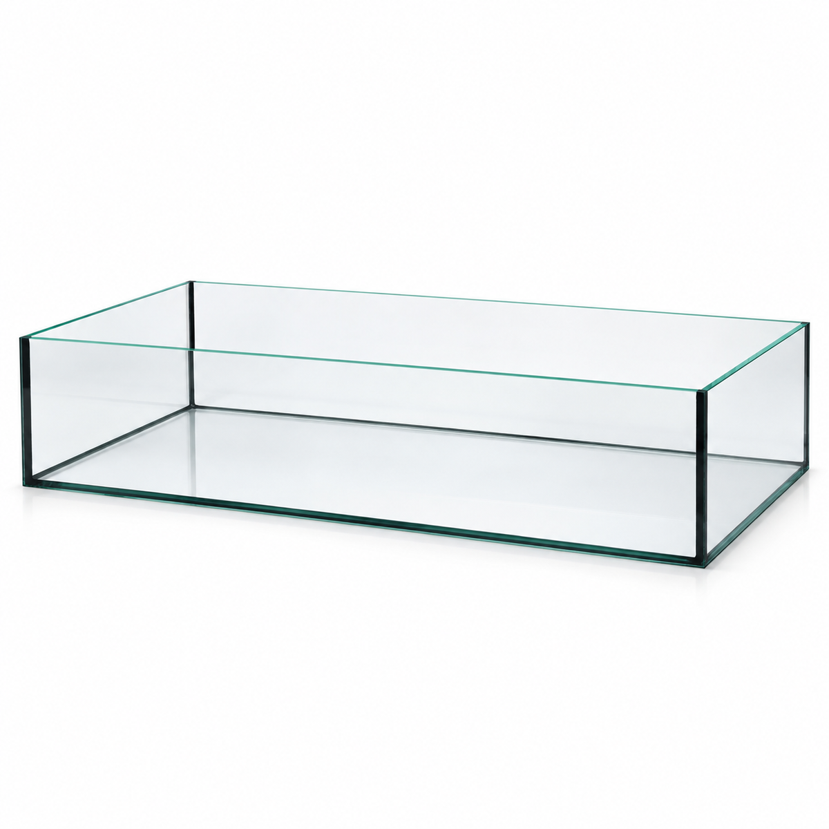 Terra-Natur Aquarium 76 × 38 × 15 cm mit schwarzer Silikonverklebung auf weißem Hintergrund