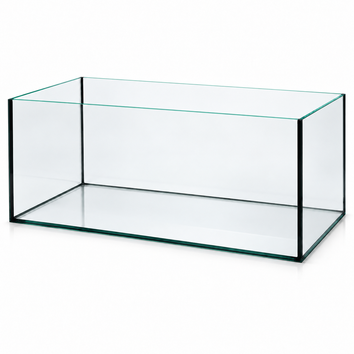 Terra-Natur Aquarium 76 × 38 × 35 cm mit schwarzer Silikonverklebung auf weißem Hintergrund