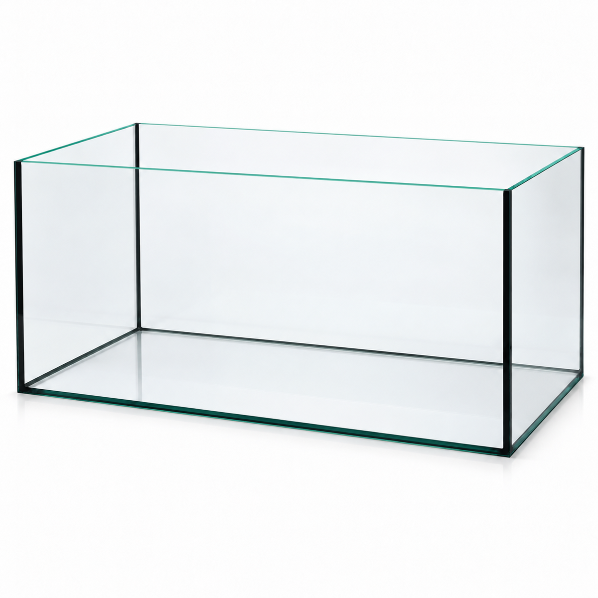 Terra-Natur Aquarium 76 × 38 × 40 cm mit schwarzer Silikonverklebung auf weißem Hintergrund