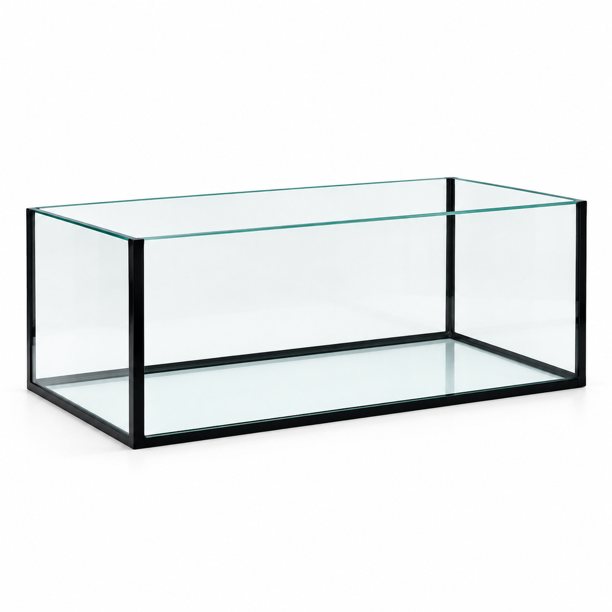 Terra-Natur Aquarium 80x30x25 cm mit schwarzer Silikonverklebung