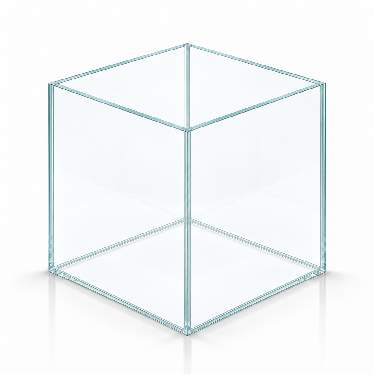 Terra-Natur Würfelaquarium 25 × 25 × 25 cm, 15,6 Liter, Floatglas mit transparentem Silikon