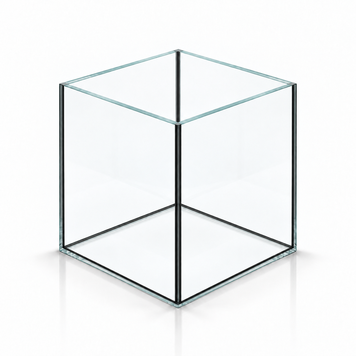 Terra-Natur Würfelaquarium 15 × 15 × 15 cm aus Floatglas mit schwarzem Silikon