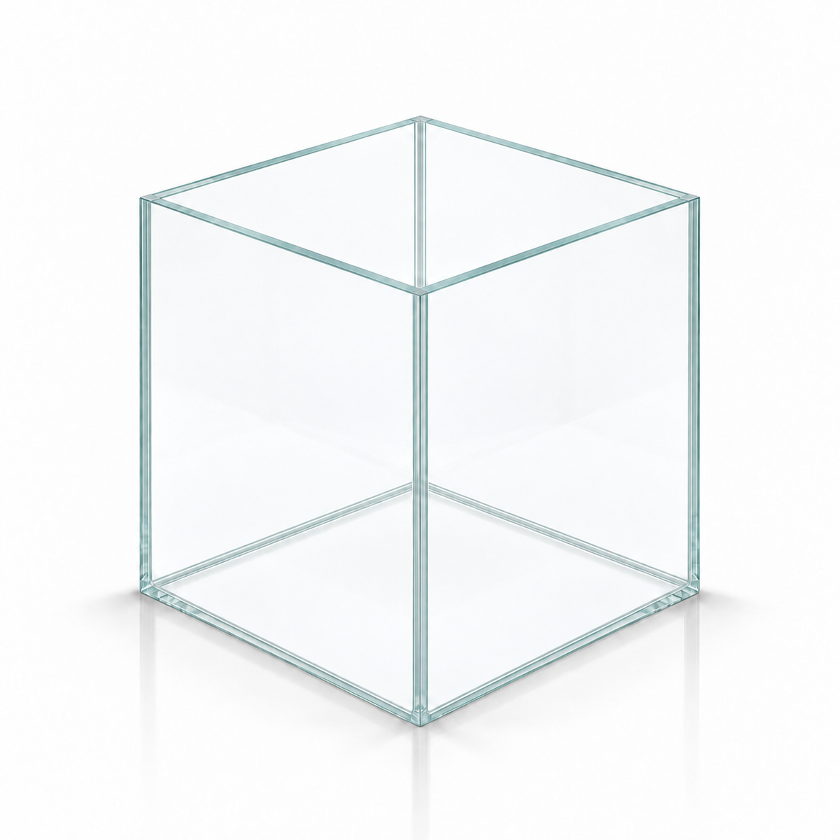 Terra-Natur Würfelaquarium 18 × 18 × 18 cm aus Floatglas mit transparentem Silikon