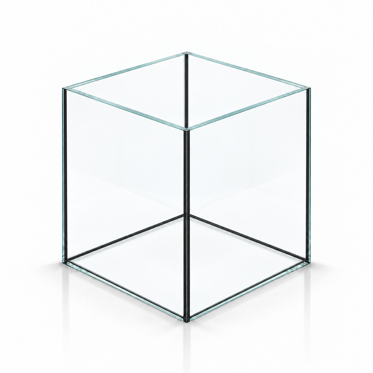 Terra-Natur Würfelaquarium 20 × 20 × 20 cm aus Floatglas mit schwarzem Silikon