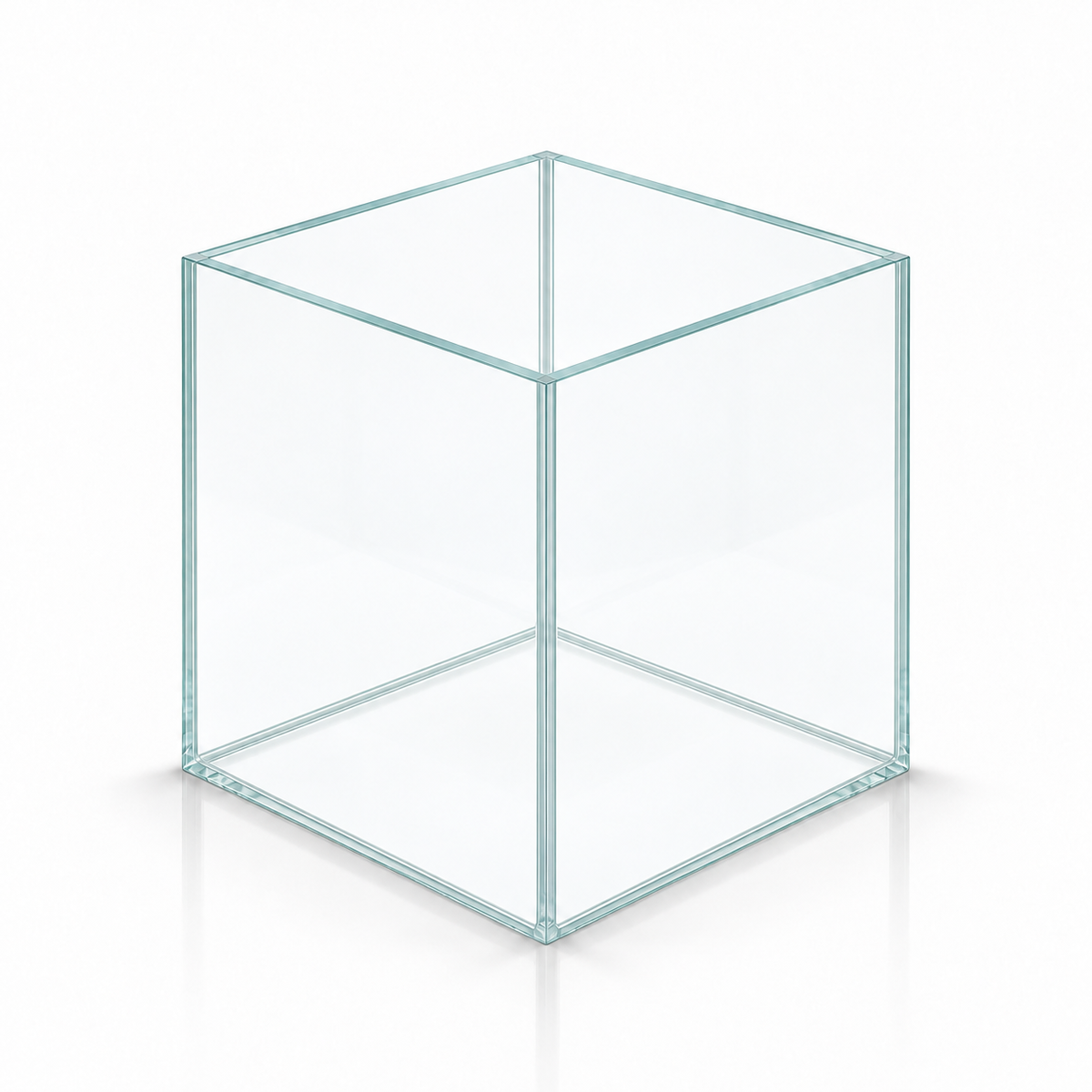 Terra-Natur Würfelaquarium 20 × 20 × 20 cm aus Floatglas mit transparentem Silikon