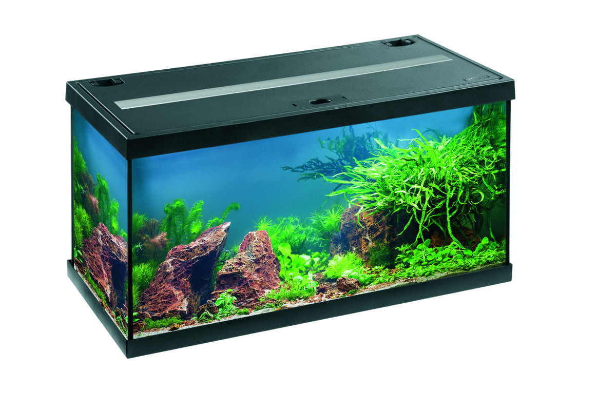 EHEIM aquastar 54 LED Aquarium-Komplettset – Schwarz – aquastar54LED