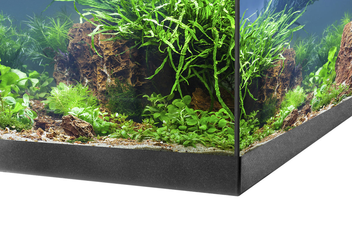 EHEIM aquastar 54 LED Aquarium-Komplettset – Schwarz – aquastar54LED