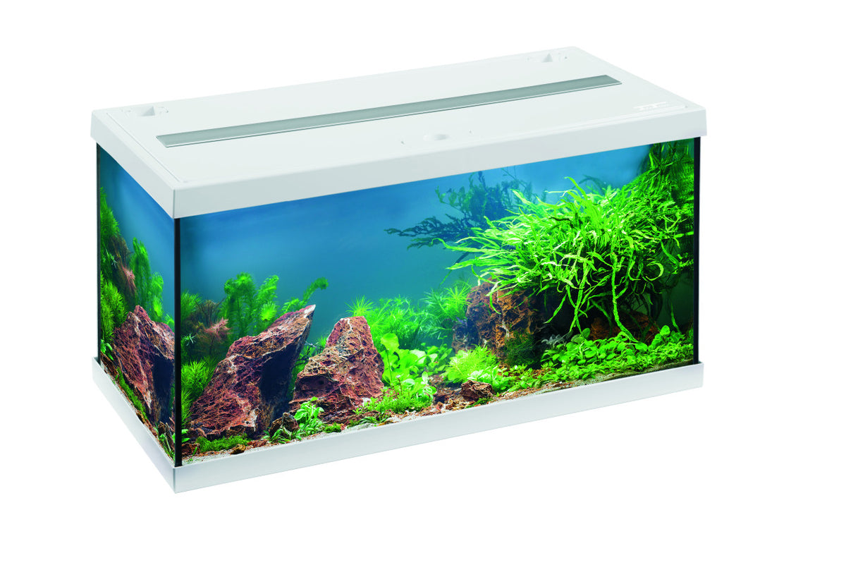 EHEIM aquastar 54 LED Aquarium-Komplettset – Weiß – aquastar54LED