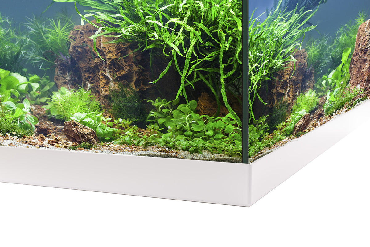 EHEIM aquastar 54 LED Aquarium-Komplettset – Weiß – aquastar54LED